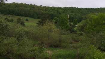 Potter County Gasthaus