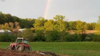 Farm Folk Bed and Breakfast