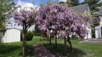 Walnut Lawn Bed & Breakfast