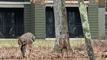 Woodloch Pine Resorts