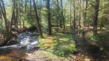 Magnolia Streamside Resort Poconos | Family Pocono Resorts | Couples Resorts Poconos