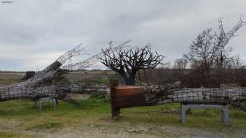 Hotel Piedras Blancas