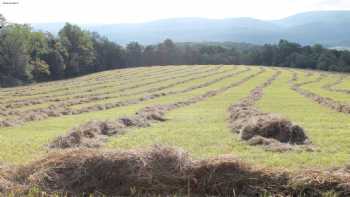 Baneberry Meadows Bed & Breakfast