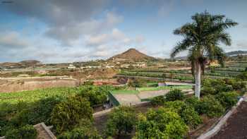 Finca Los Palmitos