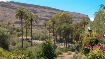 Casa Rural El Olivar