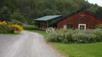 Frosty Hollow Bed & Breakfast