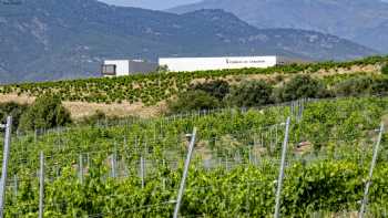 TIERRAS DE CEBREROS (Complejo Enoturístico con Hotel, Restaurante y Bodega)