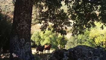 Casa Sierra de Gredos