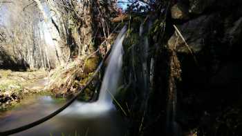 La morada del Druida