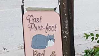 Past Purr-Fect Bed & Breakfast