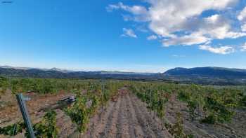 TIERRAS DE CEBREROS (Complejo Enoturístico con Hotel, Restaurante y Bodega)