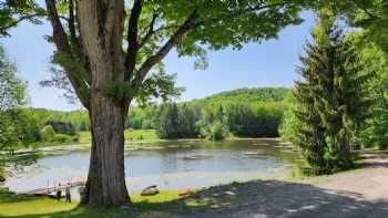 Shore Forest Campground