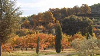 Casa Rural en Sierra de Gata