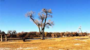 Isleta Lakes & RV Park