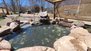 Gila Hot Springs and Campground