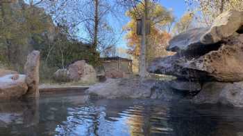 Gila Hot Springs and Campground