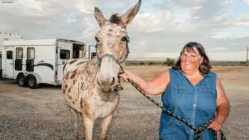 Kiva RV Park and Horse Motel